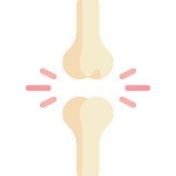 les articulations Icône