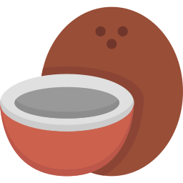 kokosnuss icon