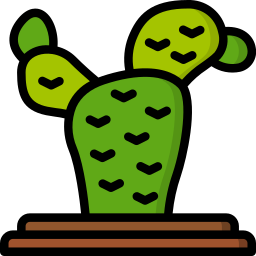 cactus icoon