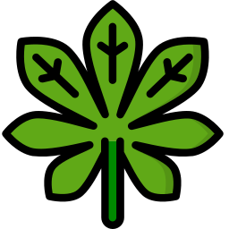 Leaf icon