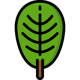 Leaf icon