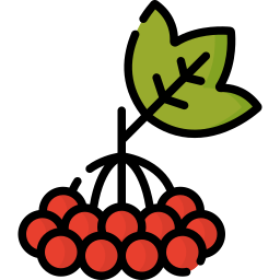 viburnumfrucht icon