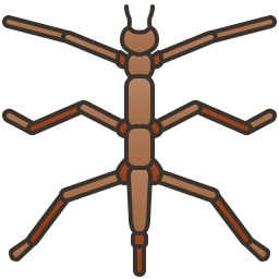 Bug icon