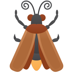 Firefly icon