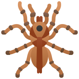 tarantula icoon