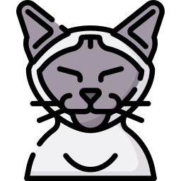 猫 icon