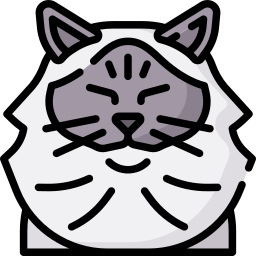 猫 icon