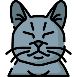 猫 icon