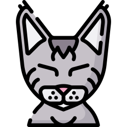 Cat icon