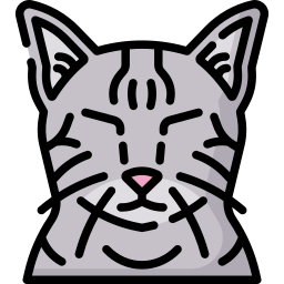 猫 icon