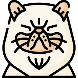 猫 icon