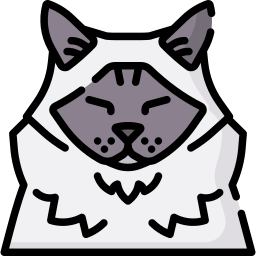 猫 icon