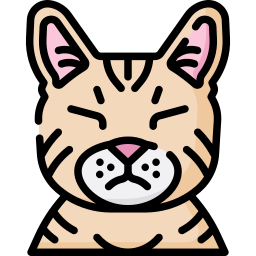 猫 icon