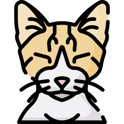 猫 icon