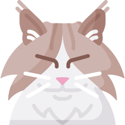 猫 icon