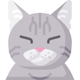 Cat icon