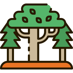 wald icon