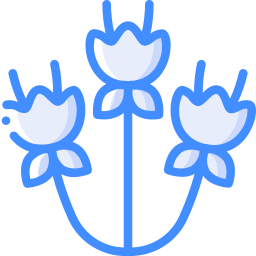 blume icon