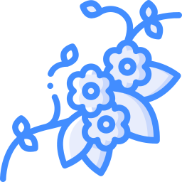 blume icon