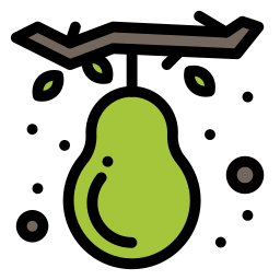 Pear icon