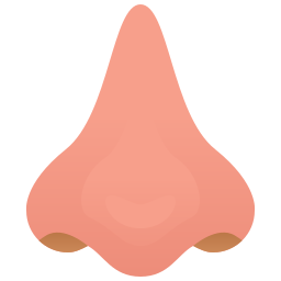 Nose icon