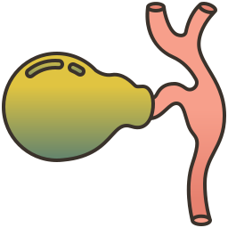 Gallbladder icon