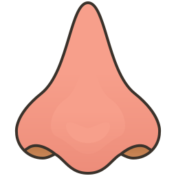 Nose icon