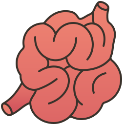 Small intestine icon