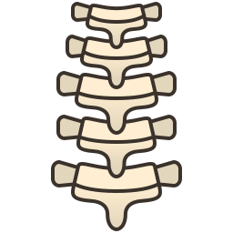 Backbone icon