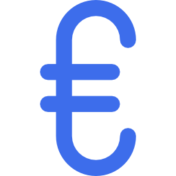 Euro icon