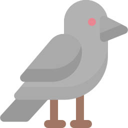 Crow icon