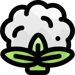 Cauliflower icon