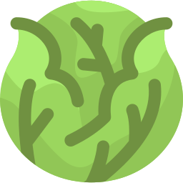 Cabbage icon