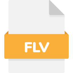 Flv file icon