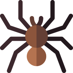 Spider icon