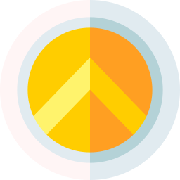 Shield icon