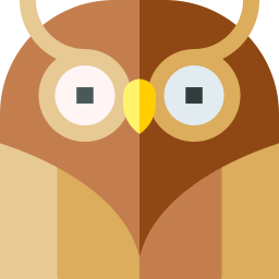 hibou Icône