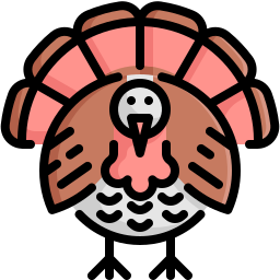 Turkey icon