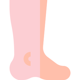 Foot icon