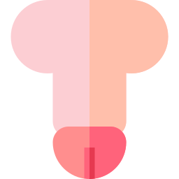 Penis icon