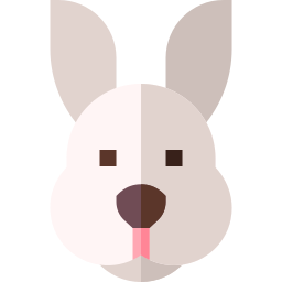 Rabbit icon