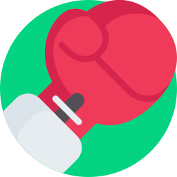 Boxing glove icon