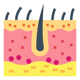 epidermide icona