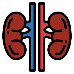 Kidneys icon