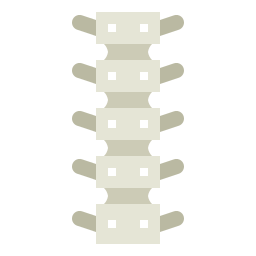 Spinal column icon