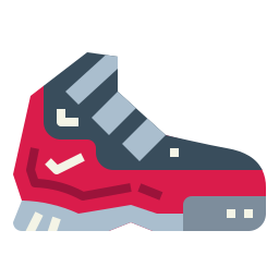 Shoes icon