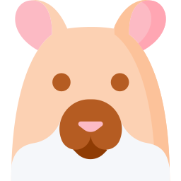 hamster icon