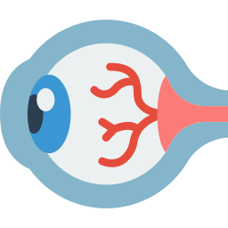 Eye icon