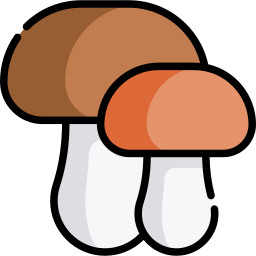 Mushrooms icon