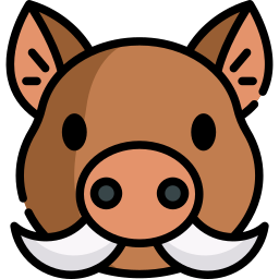 Boar icon